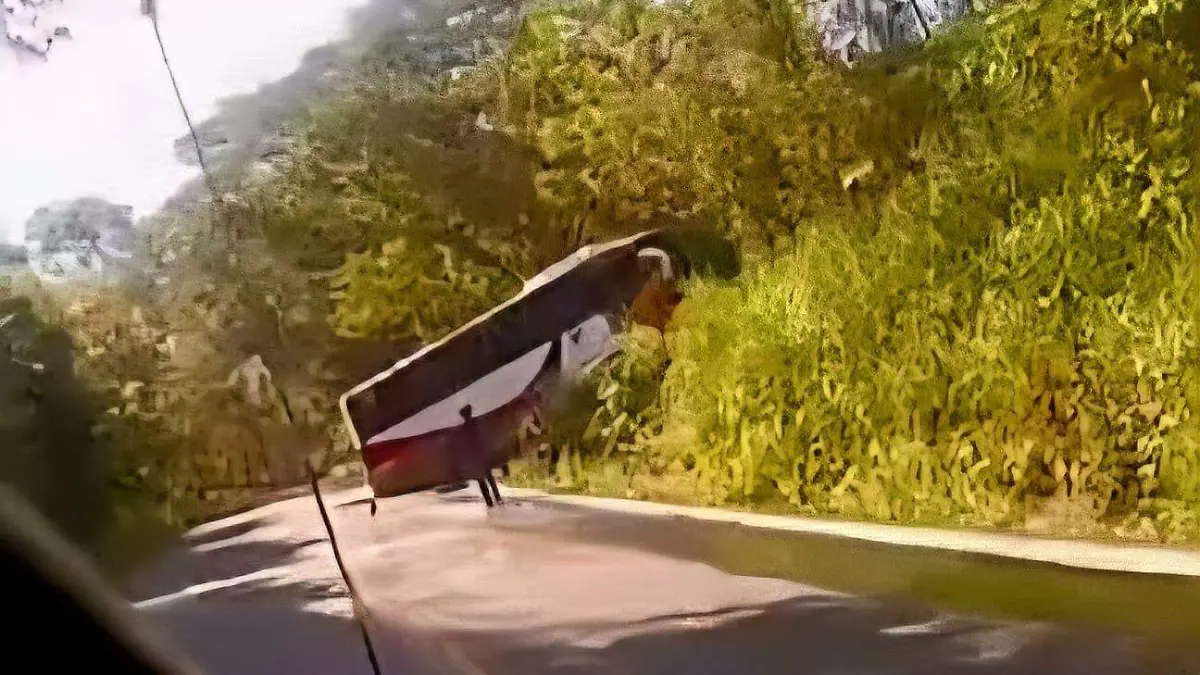 WhatsApp Image 2026-01-02 at 15.35.40