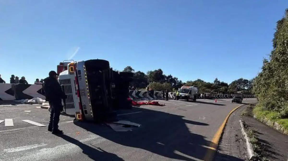 WhatsApp Image 2026-01-04 at 12.48.31