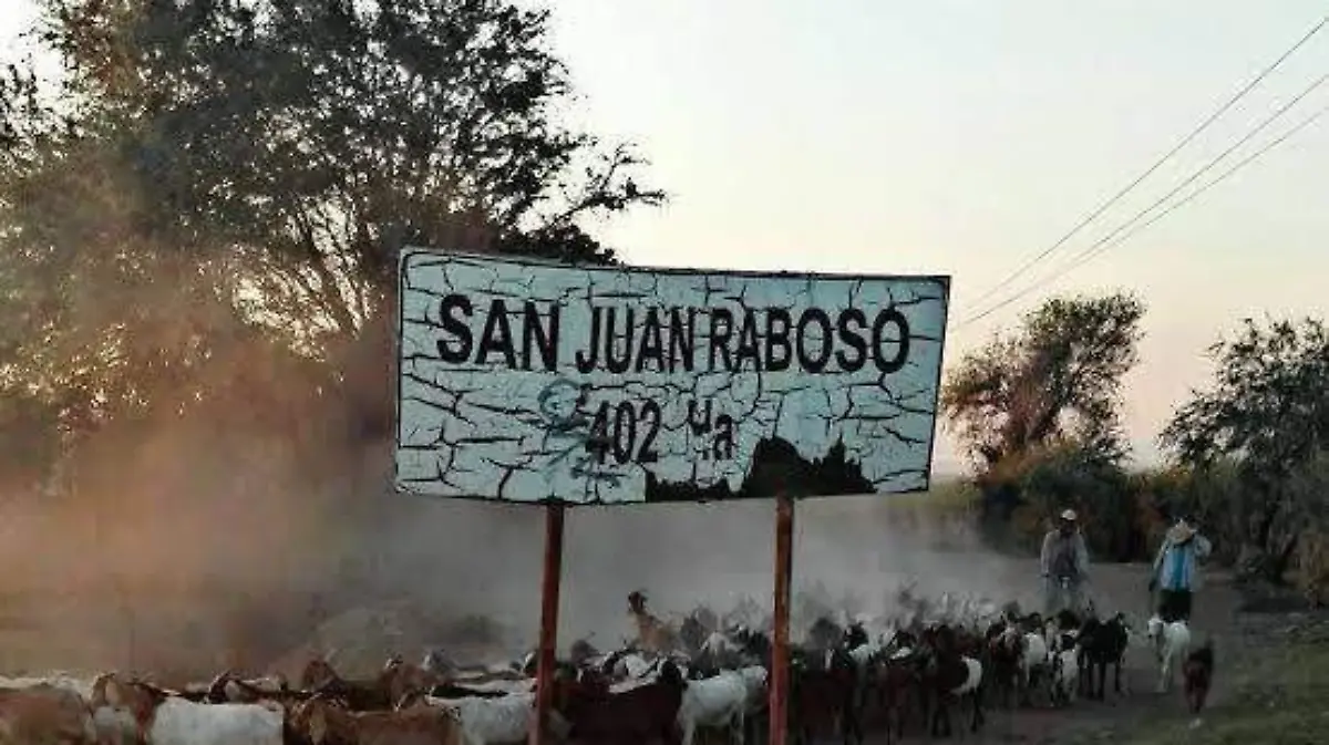 WhatsApp Image 2026-01-04 at 11.29.41