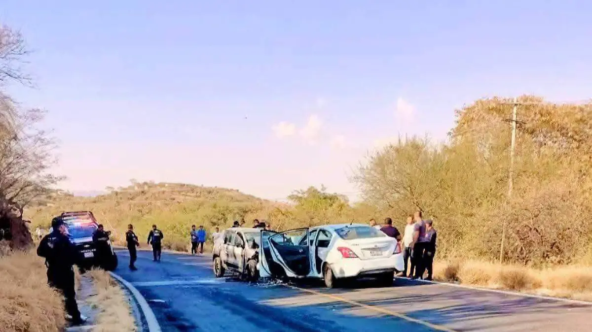 WhatsApp Image 2026-01-04 at 14.13.51