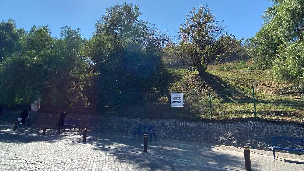 WhatsApp Image 2026-01-05 at 14.27.42