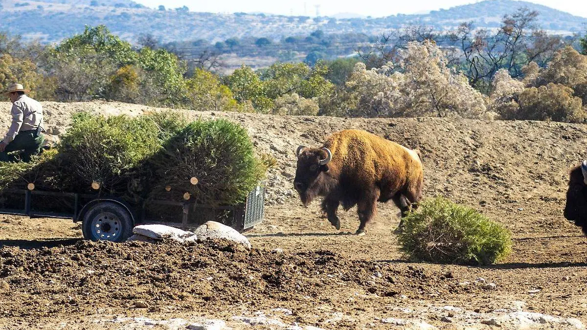 WhatsApp Image 2026-01-05 at 6.21.18 PM