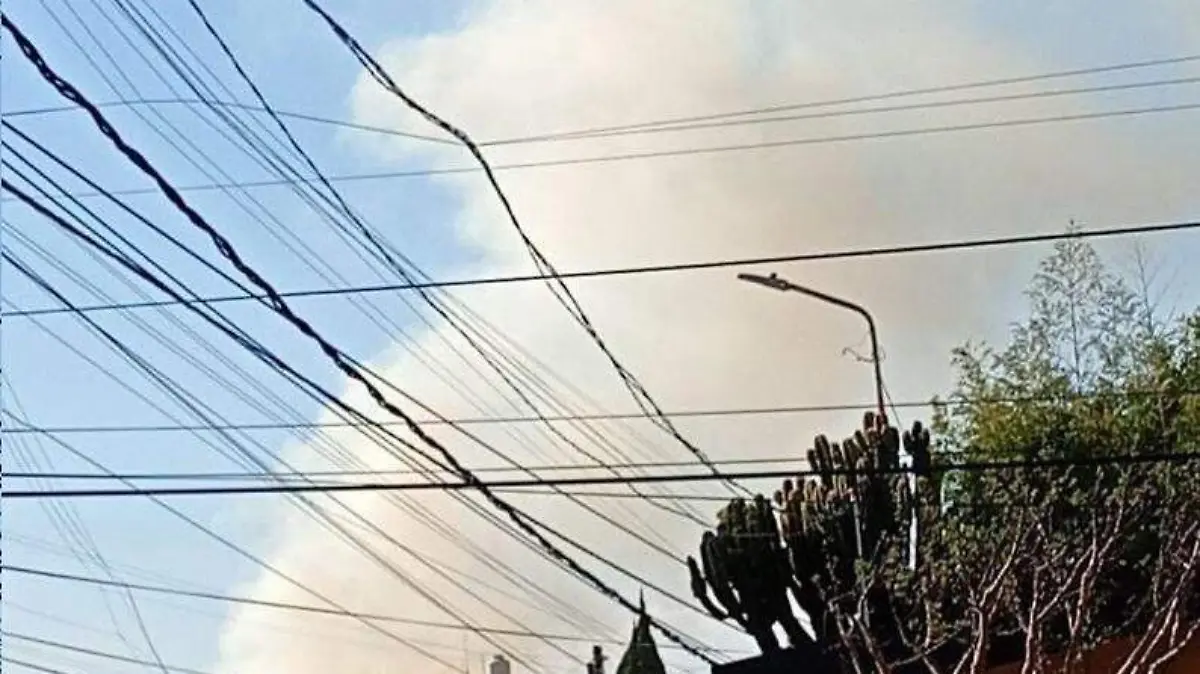 WhatsApp Image 2026-01-05 at 8.19.10 PM