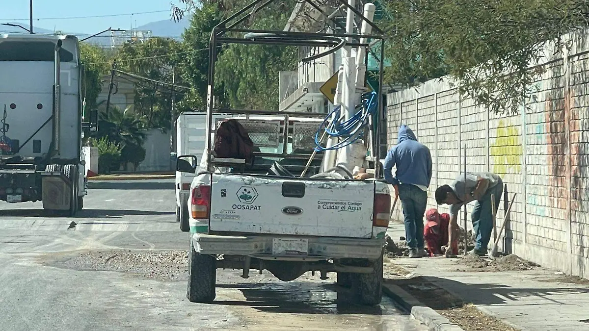 WhatsApp Image 2026-01-06 at 14.37.41