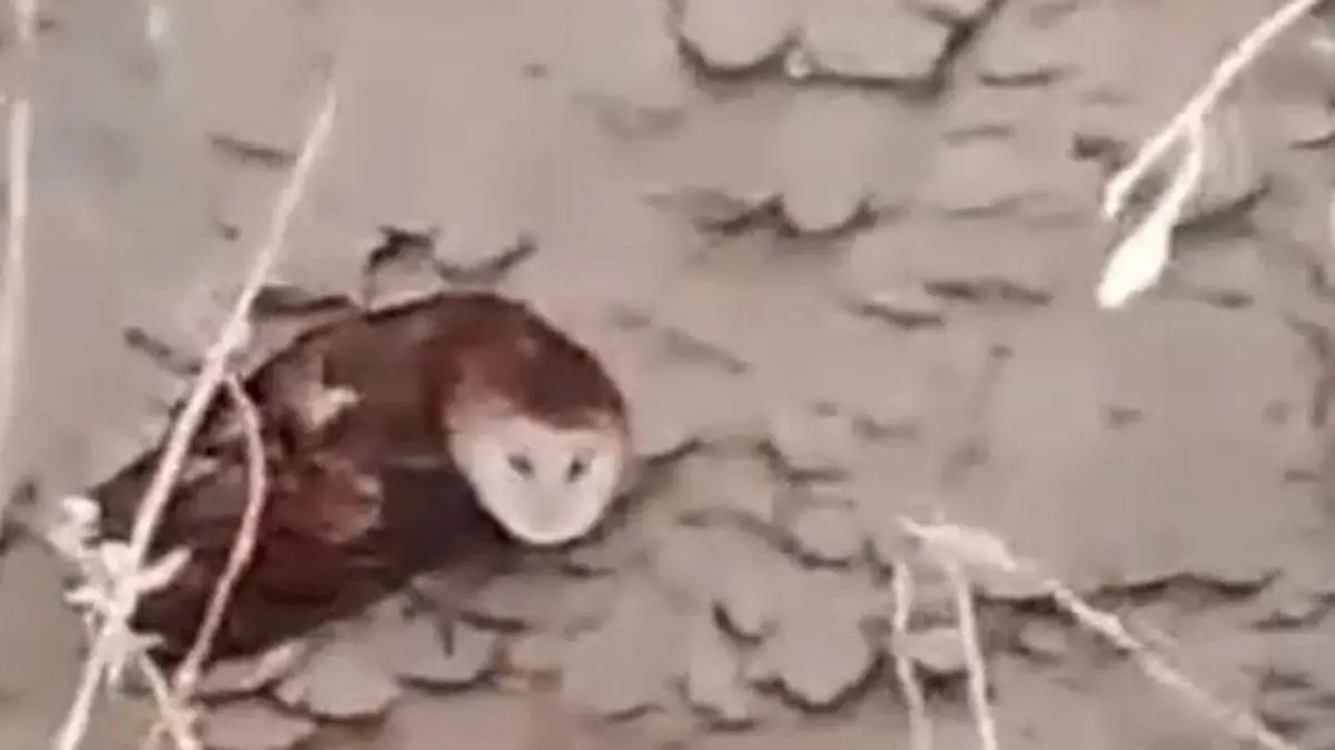 WhatsApp Image 2026-01-06 at 16.53.18