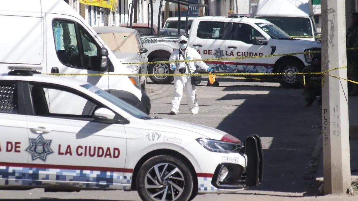 WhatsApp Image 2026-01-07 at 1.53.24 PM