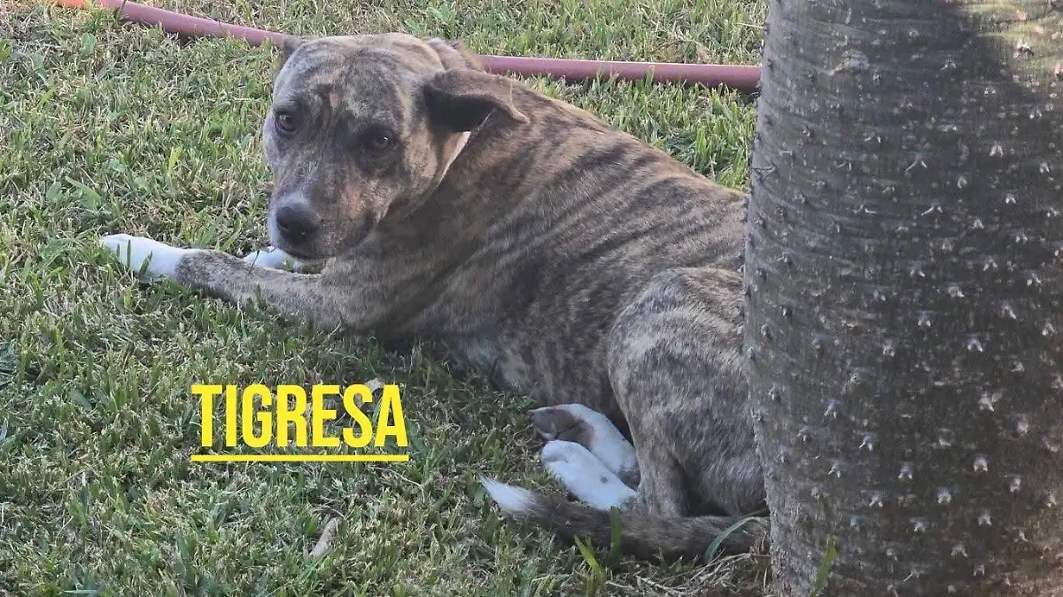 WhatsApp Image 2026-01-07 at 17.36.15