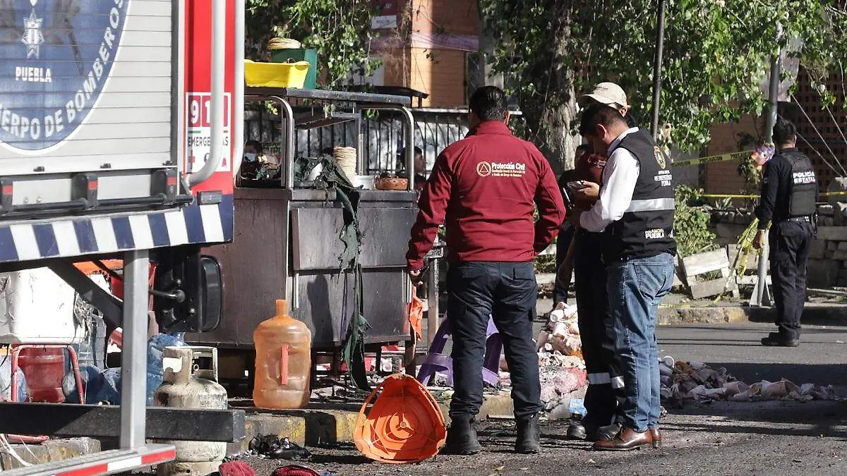 WhatsApp Image 2026-01-08 at 4.57.19 PM