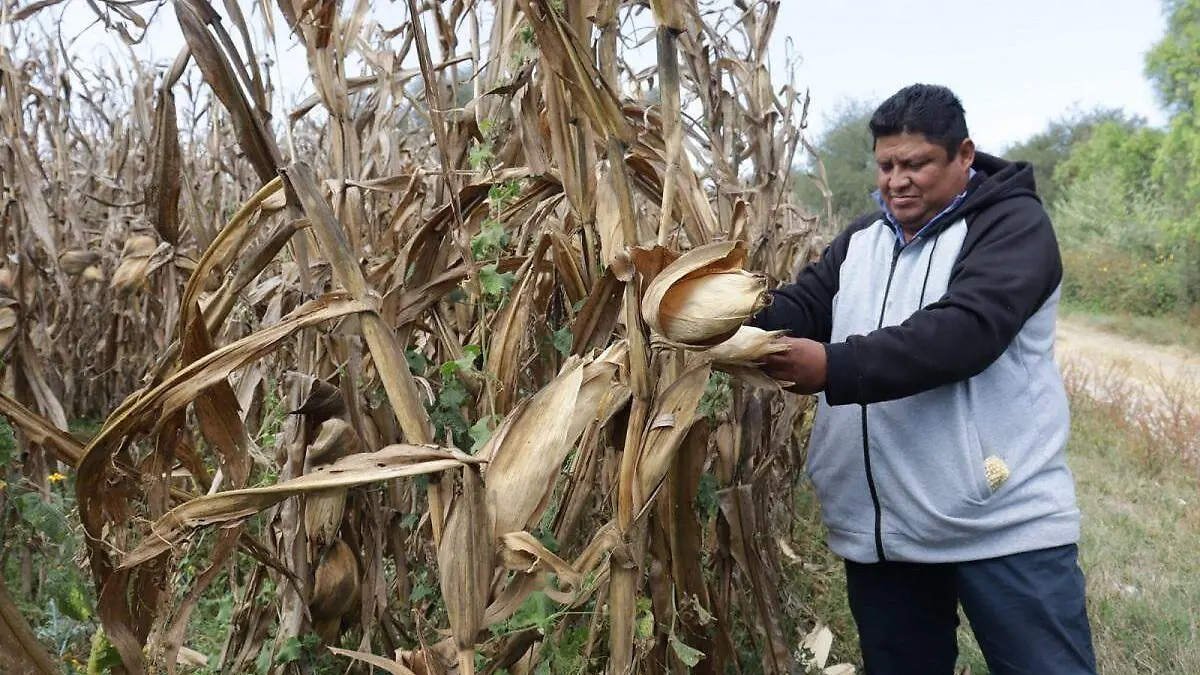 WhatsApp Image 2026-01-08 at 8.56.18 PM (3)