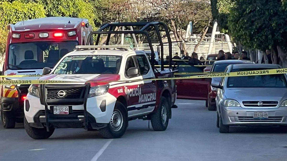 WhatsApp Image 2026-01-09 at 17.24.51