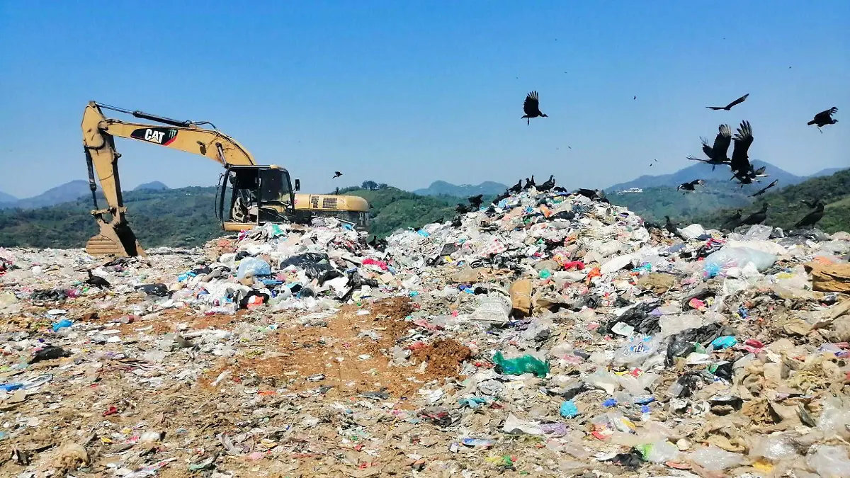 WhatsApp Image 2026-01-09 at 19.27.31