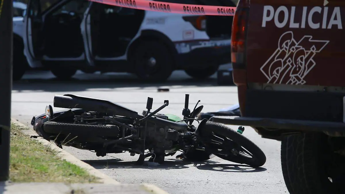 WhatsApp Image 2026-01-10 at 2.00.32 PM