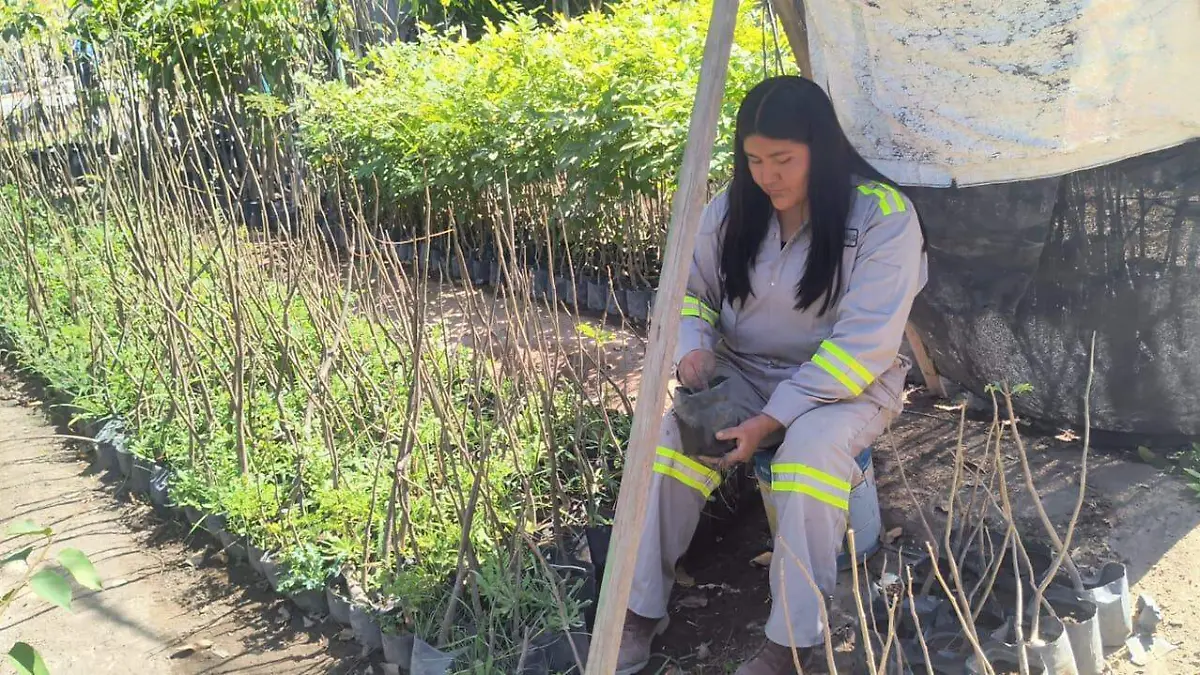 WhatsApp Image 2026-01-11 at 09.11.55