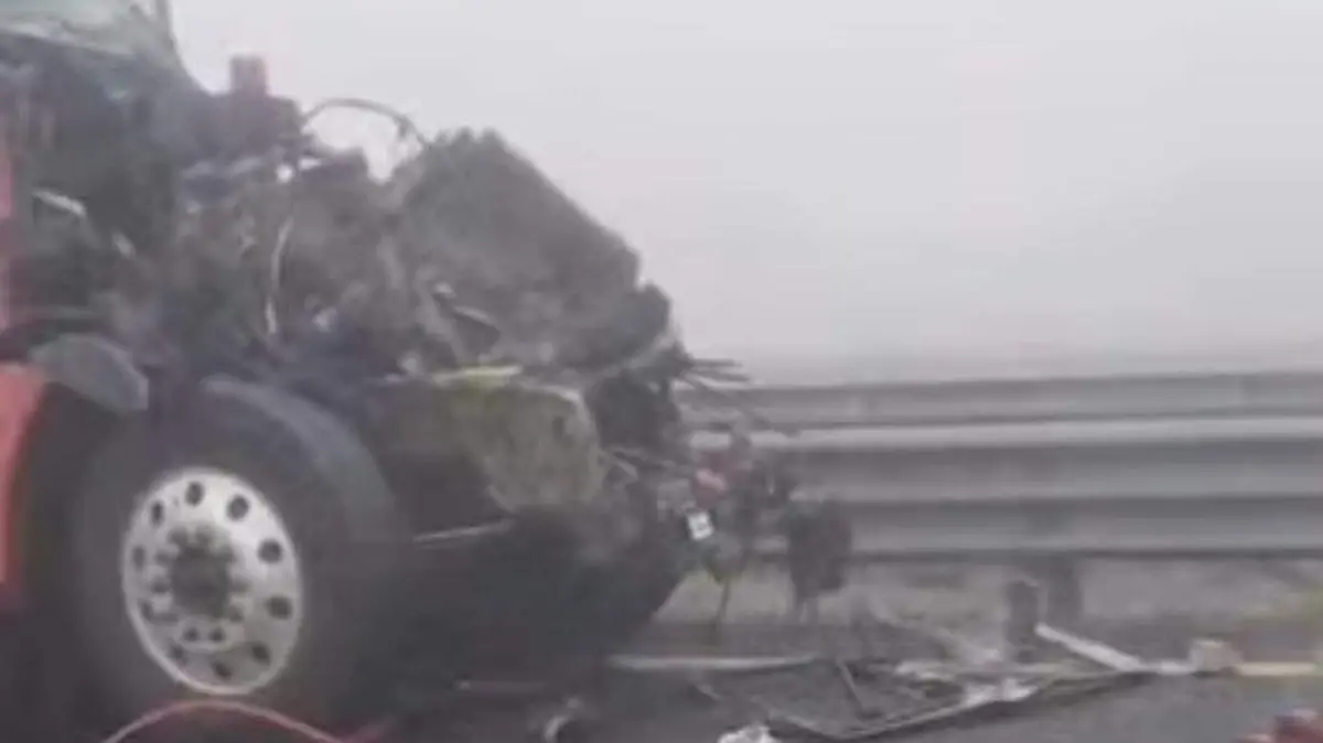 WhatsApp Image 2026-01-11 at 13.02.21