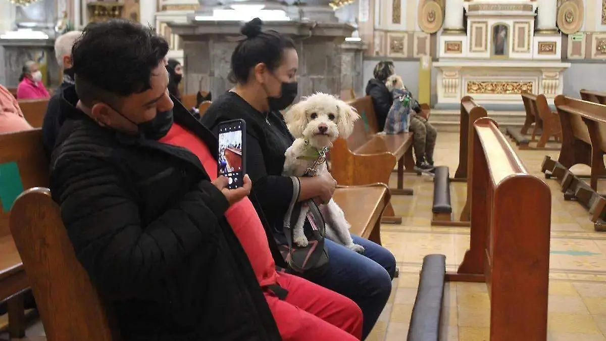 mascota en una iglesia para bendicion de Sa Antonio Abad