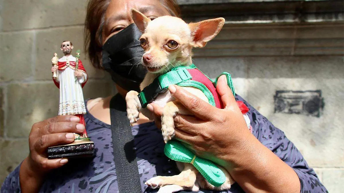 Los asistentes podrán llevar a sus mascotas para recibir la bendición en un ambiente de respeto y convivencia