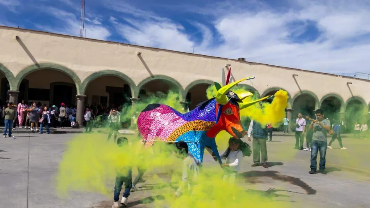 WhatsApp Image 2026-01-12 at 15.20.31