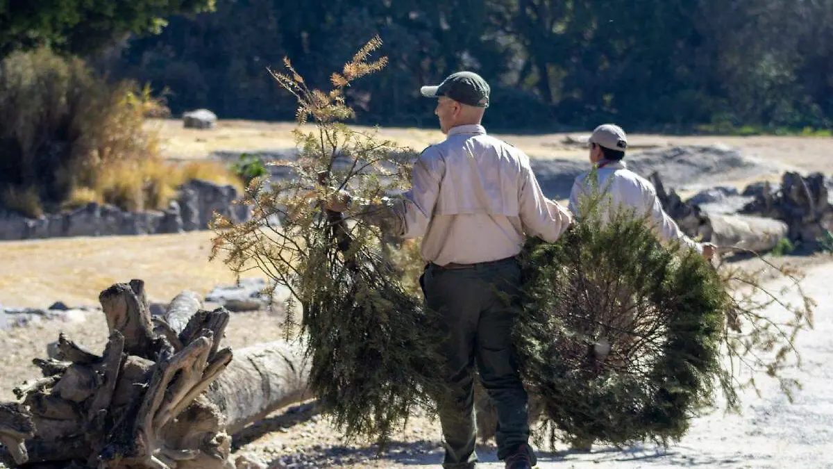 arbol de navidad reciclaje