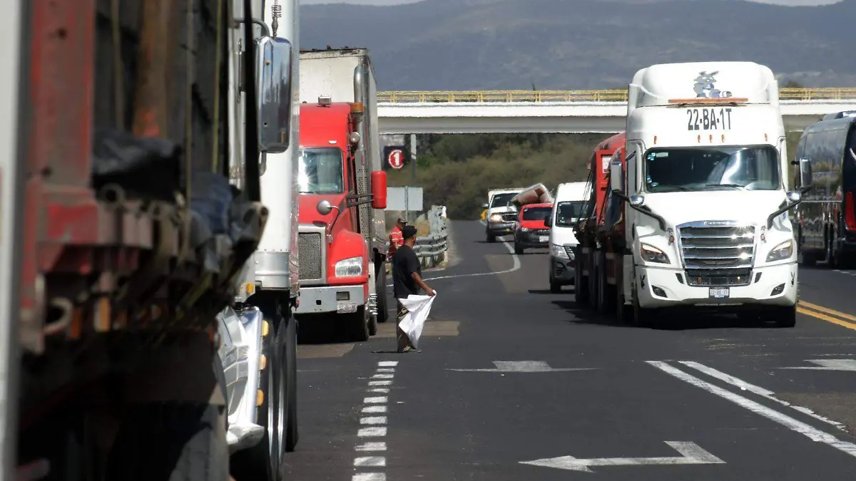 WhatsApp Image 2026-01-12 at 1.58.23 PM