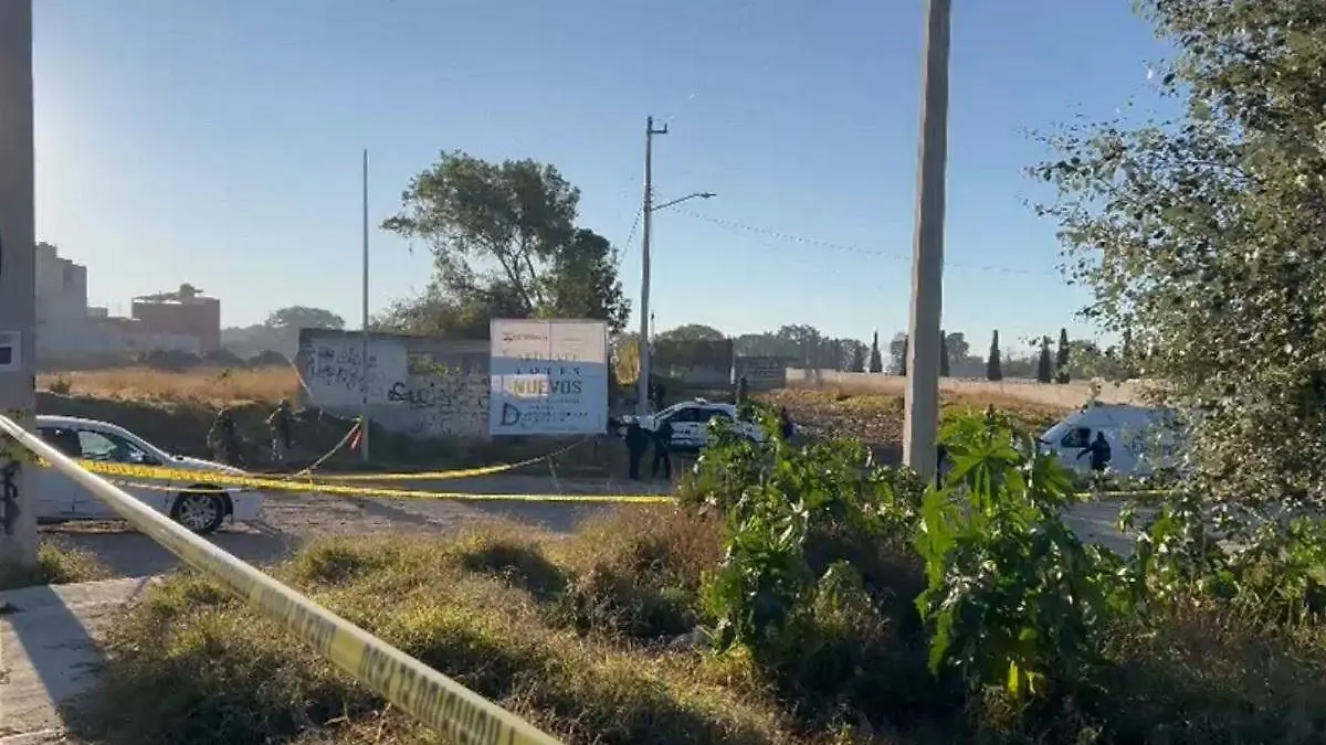 WhatsApp Image 2026-01-12 at 8.52.49 AM