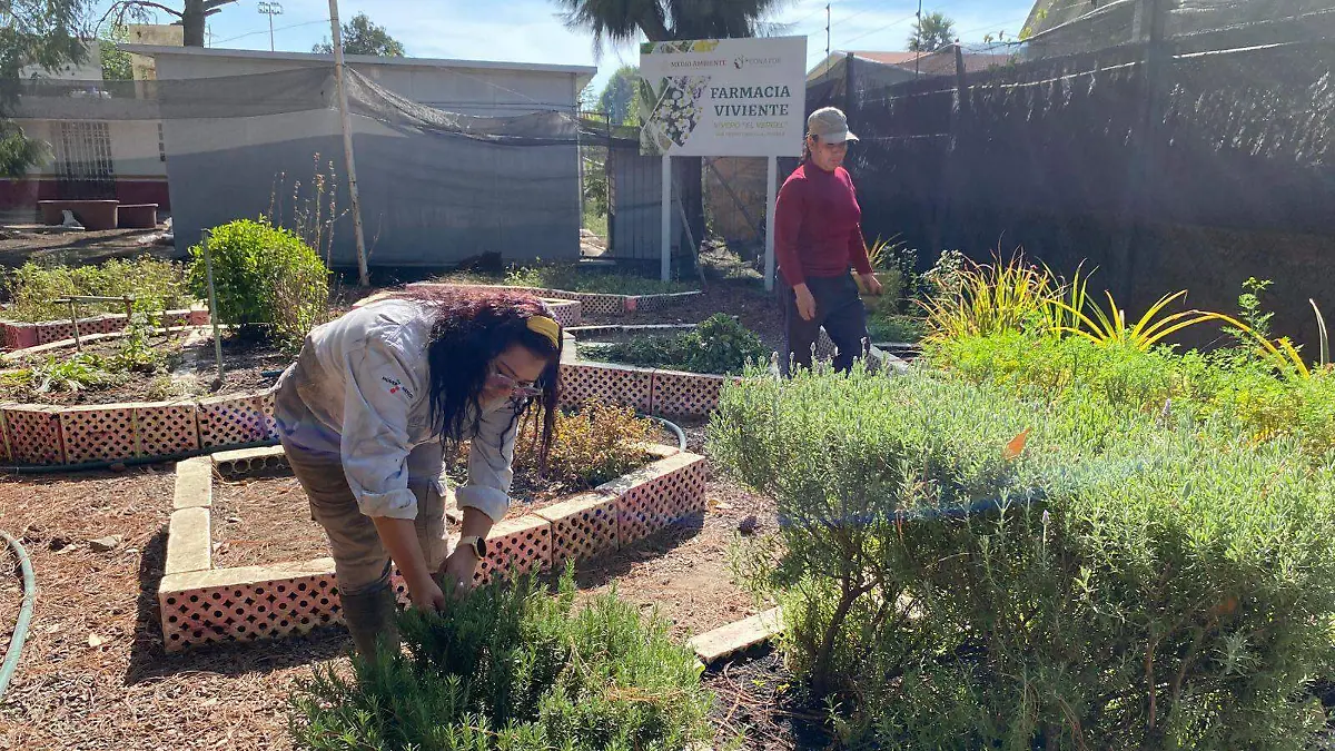 WhatsApp Image 2026-01-13 at 16.26.02