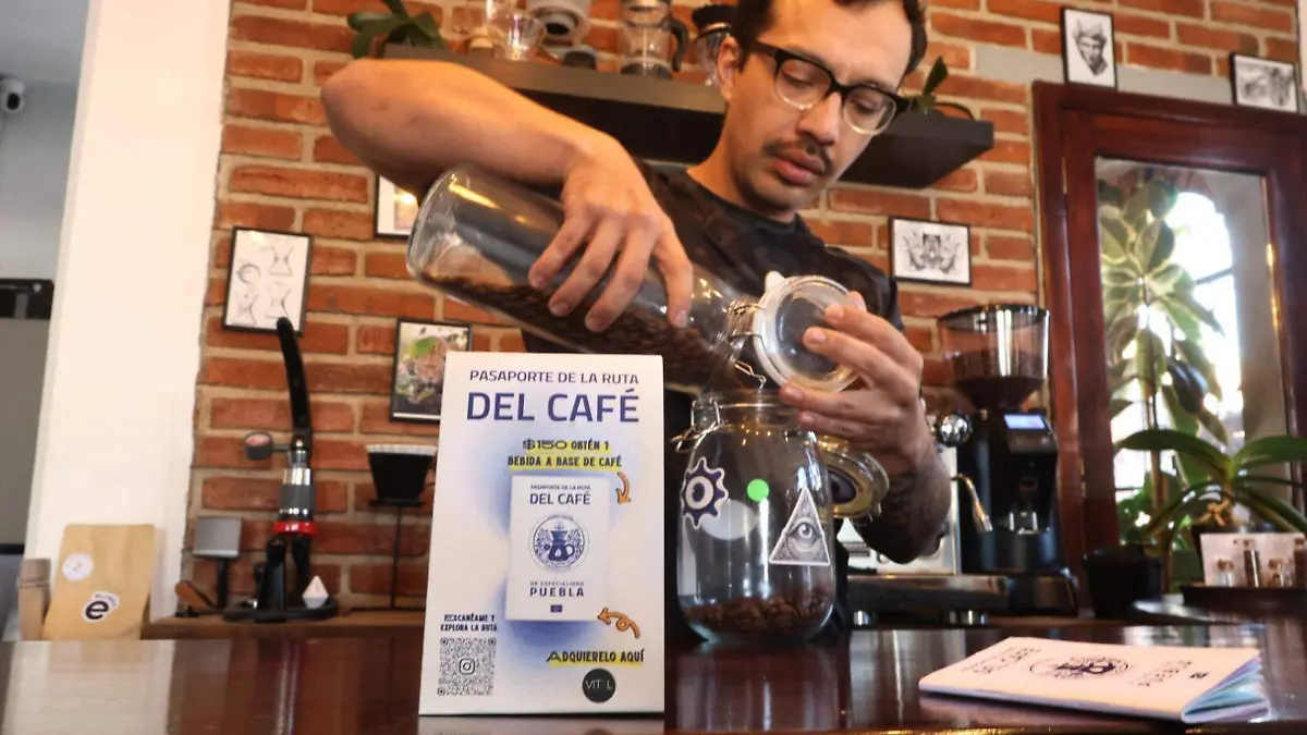 WhatsApp Image 2026-01-13 at 18.03.36