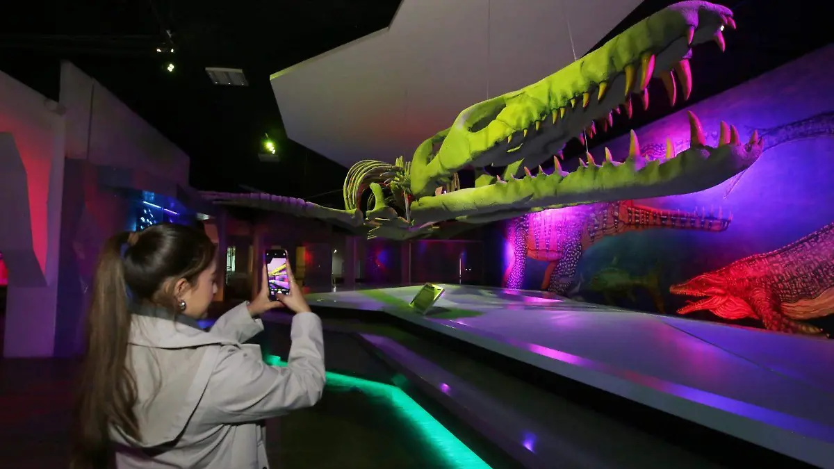 WhatsApp Image 2026-01-13 at 18.43.00 (1)