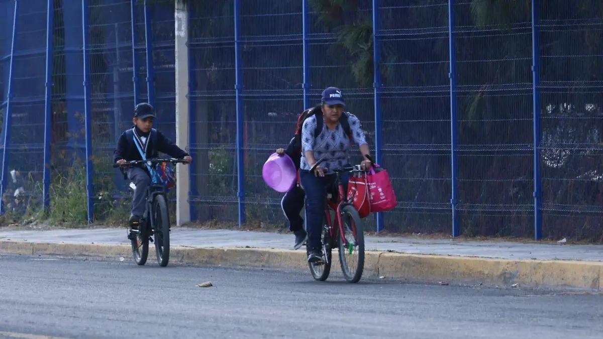 WhatsApp Image 2026-01-13 at 19.42.52