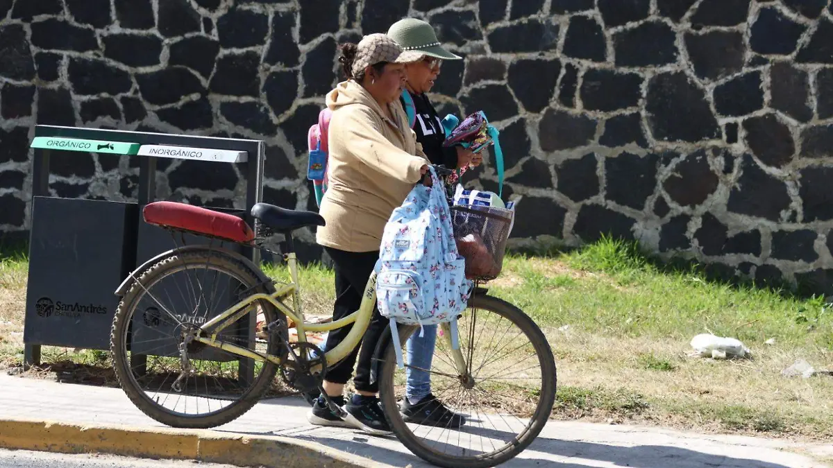 WhatsApp Image 2026-01-13 at 19.42.51 (1)