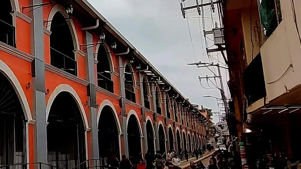 WhatsApp Image 2026-01-13 at 18.49.57