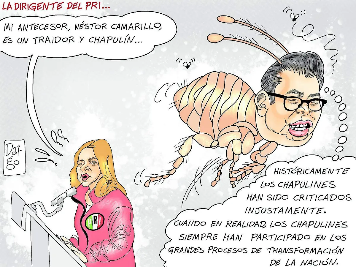 WhatsApp Image 2026-01-13 at 8.31.54 PM