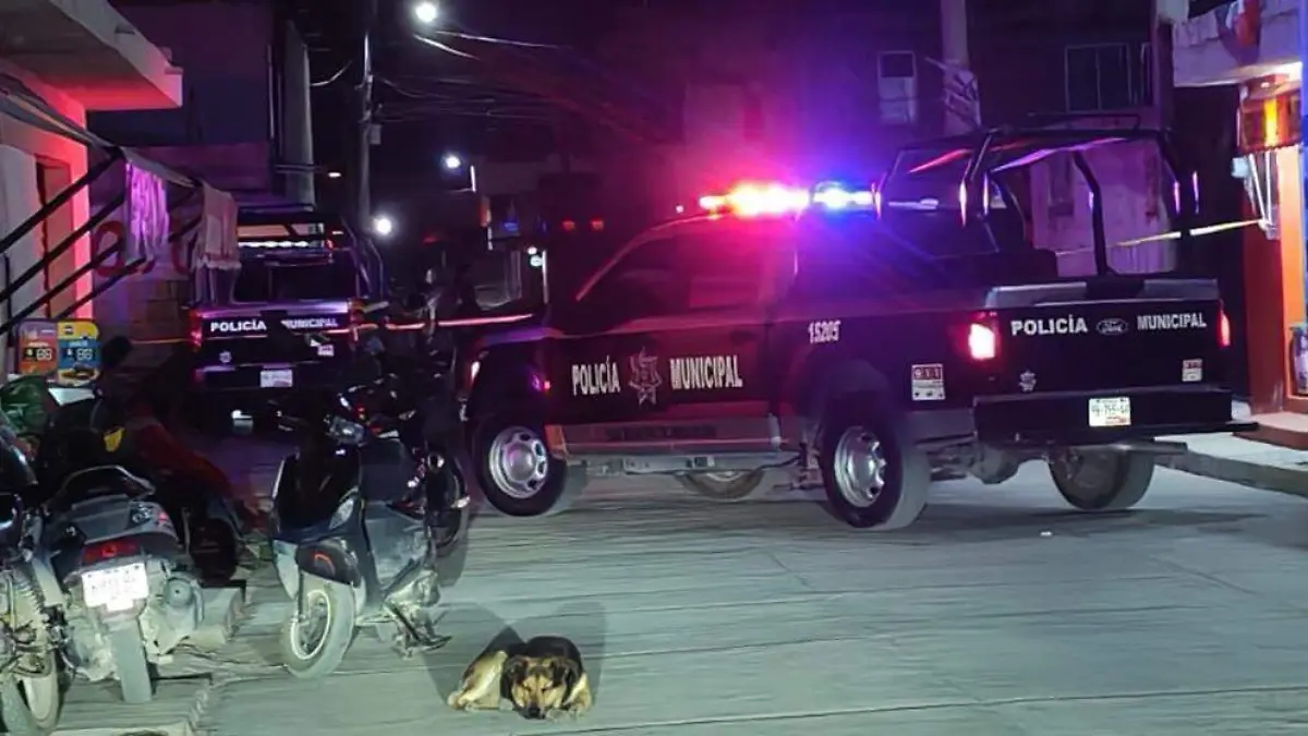 WhatsApp Image 2026-01-13 at 20.37.17