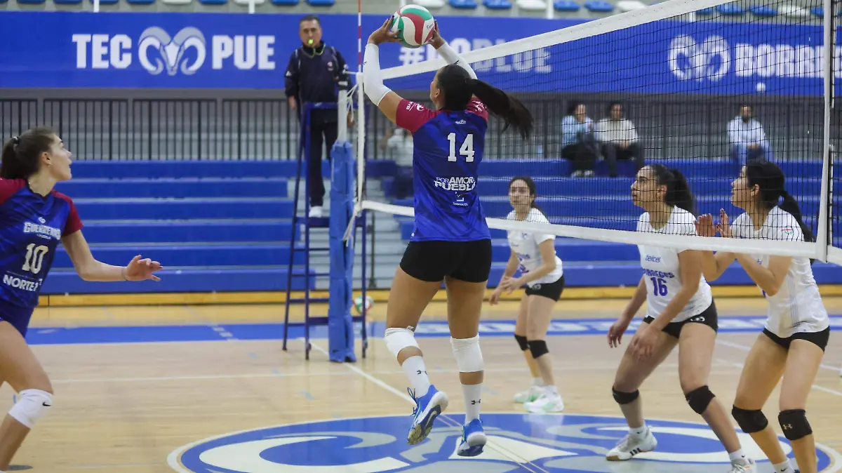 WhatsApp Image 2026-01-13 at 9.17.41 PM