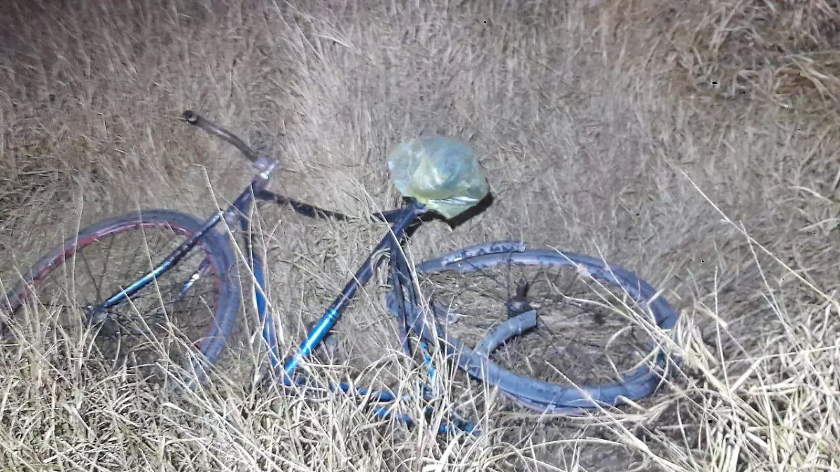 WhatsApp Image 2026-01-14 at 11.05.36 AM