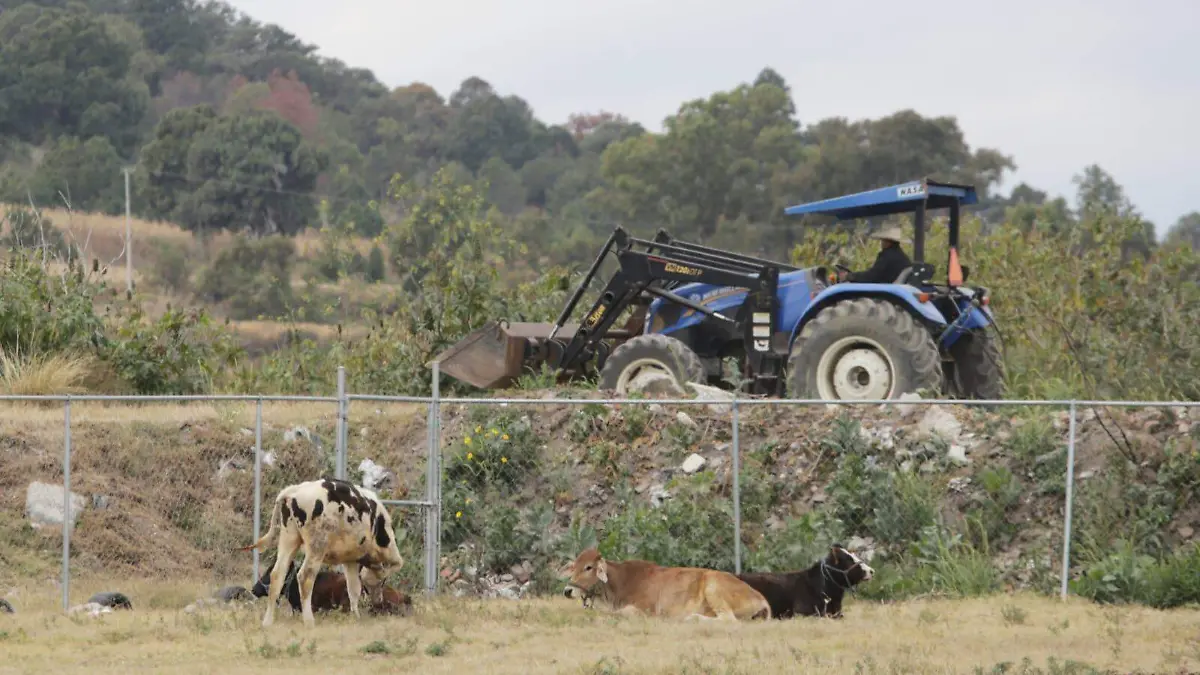 WhatsApp Image 2026-01-14 at 19.27.51