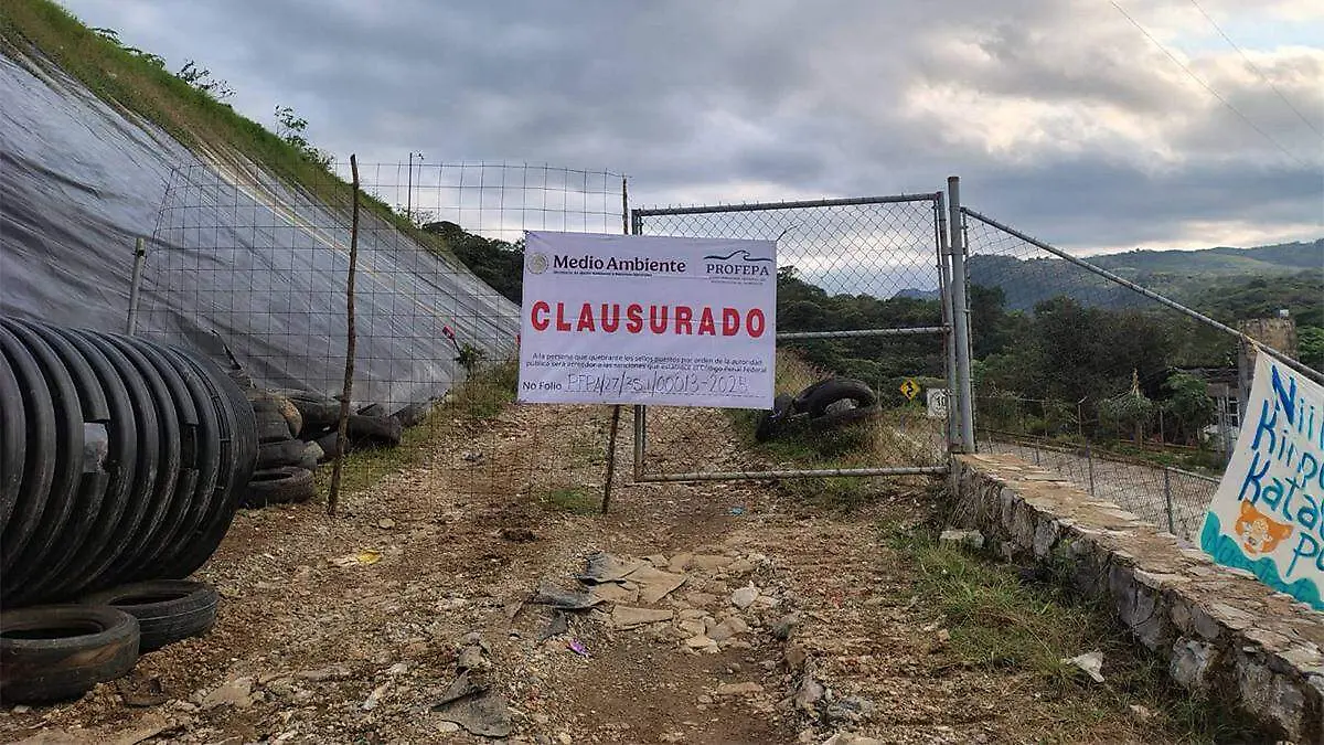 el sitio carecía de estudios topográficos, geotécnicos, geológicos e hidrogeológicos indispensables