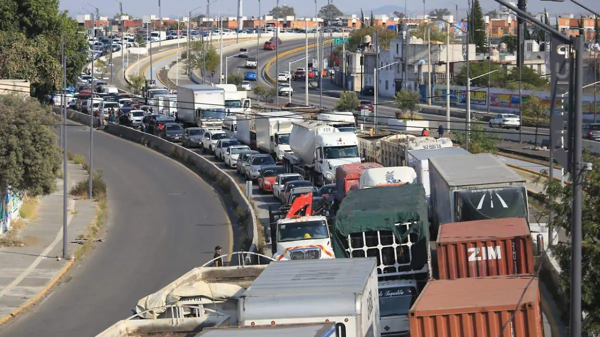 WhatsApp Image 2026-01-16 at 15.33.20