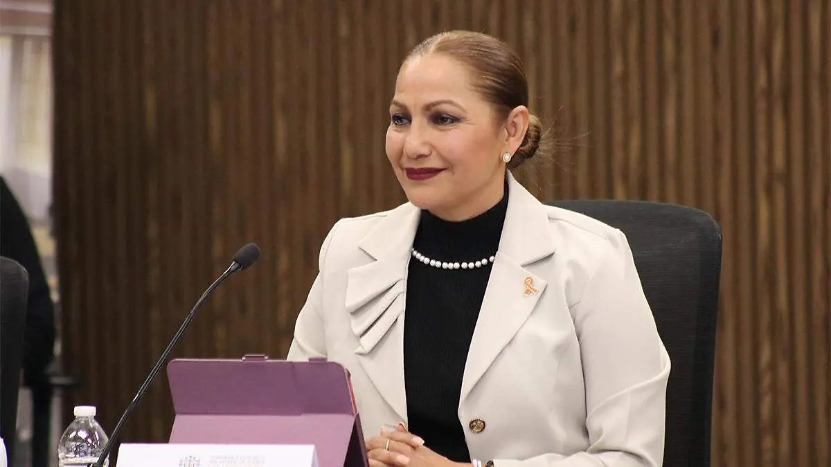 La secretaria reconoció que su dependencia no puede obligar a los ayuntamientos a cumplir con las medidas de la AVGM