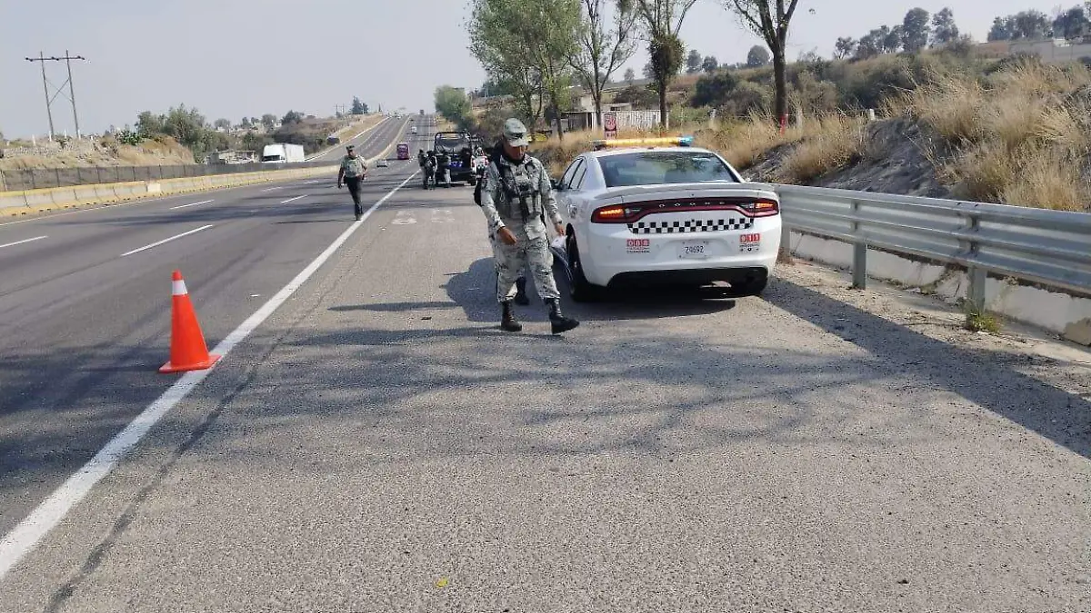 WhatsApp Image 2026-01-16 at 16.29.13