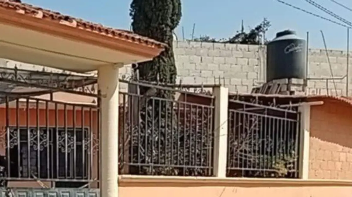 WhatsApp Image 2026-01-16 at 17.04.45