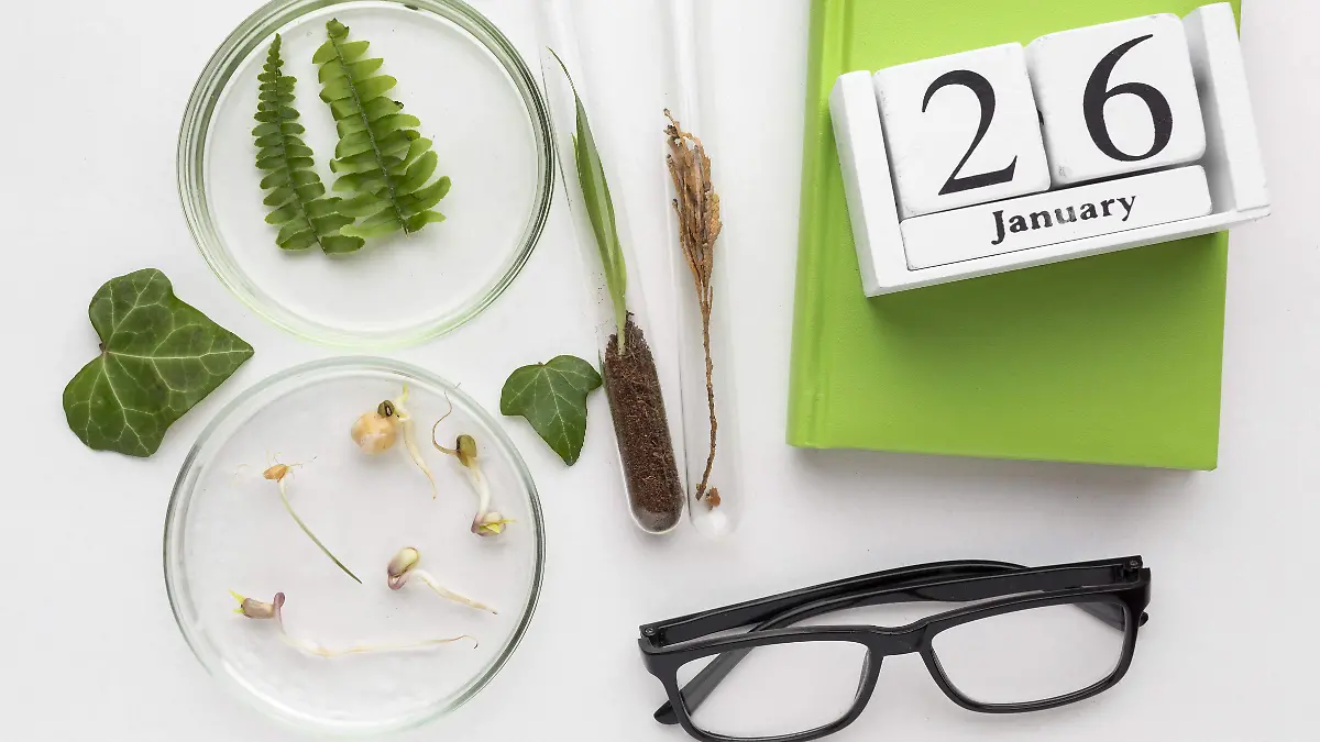 Profeco promueve hábitos de consumo sostenible en niñas y niños durante todo el año