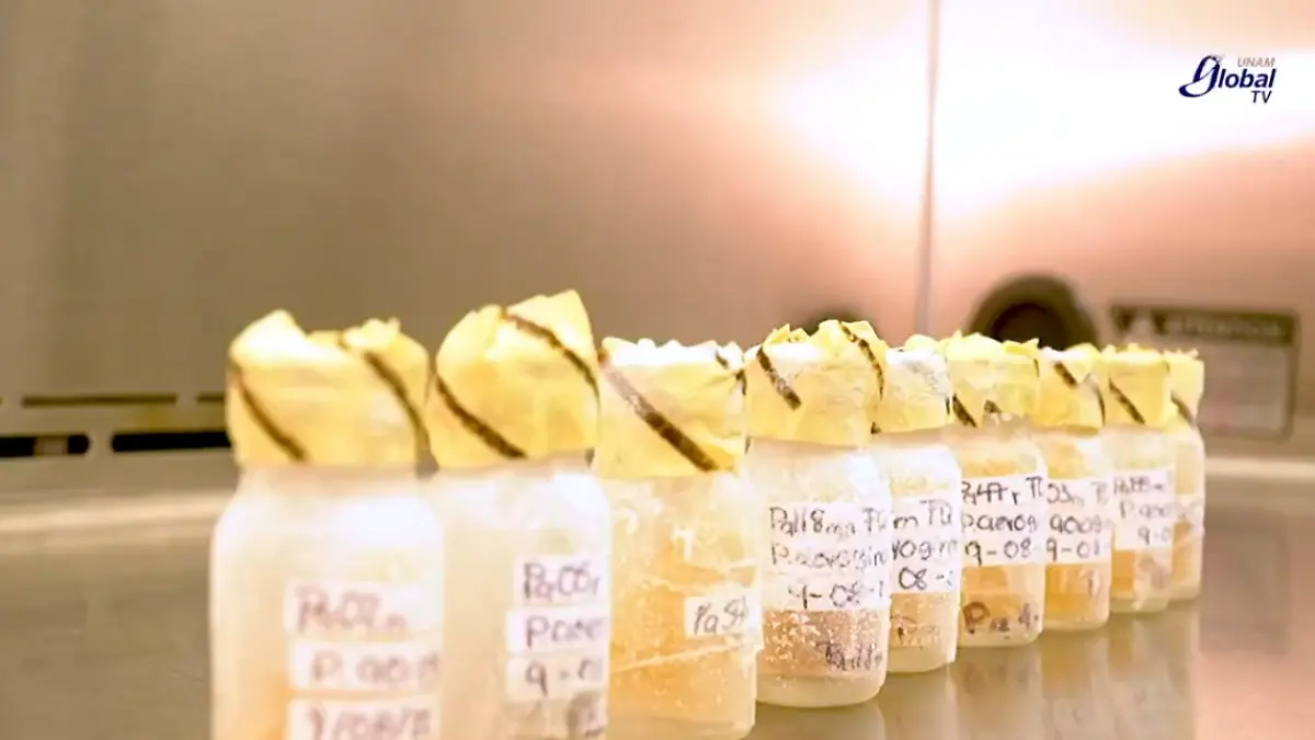 La tecnología busca romper barreras sociales y económicas que impiden a millones de mujeres realizarse la prueba del VPH