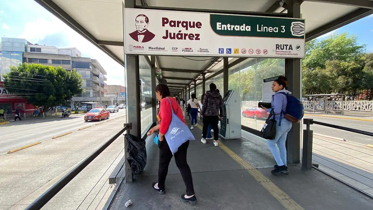 WhatsApp Image 2026-01-17 at 6.19.27 PM(3)