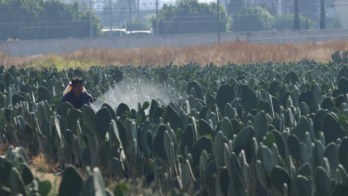 WhatsApp Image 2026-01-18 at 16.33.48 (1)