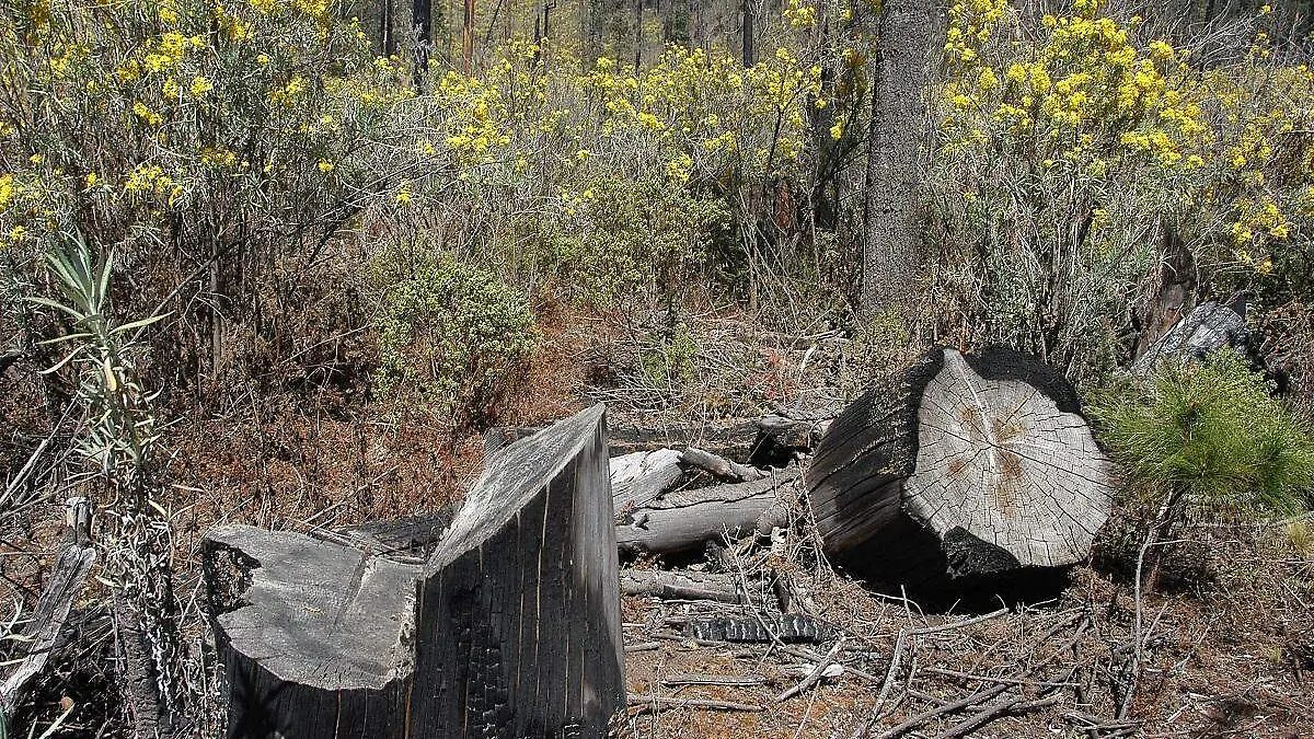 138782_0308Zem_impreso