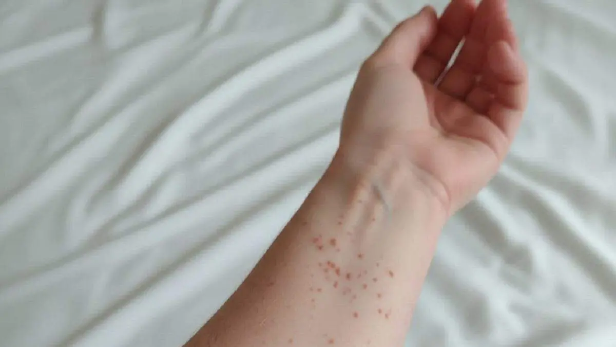 WhatsApp_Image_2026-01-17_at_5.05.11_PM_(1)