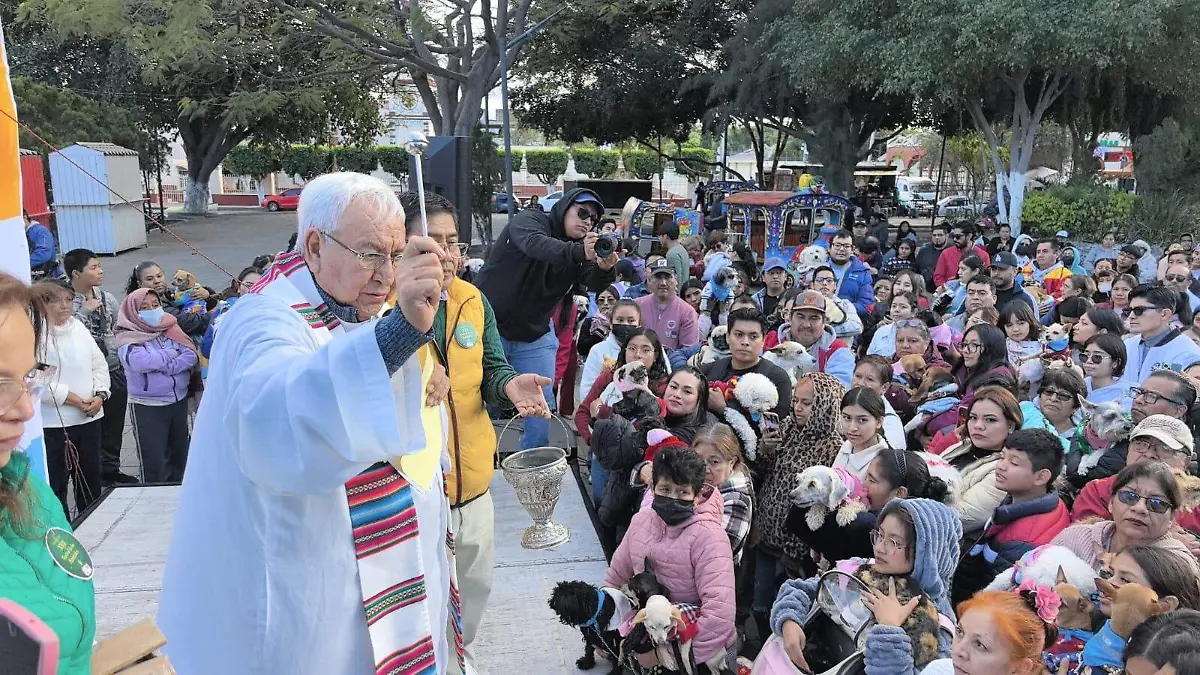 WhatsApp Image 2026-01-19 at 14.45.15