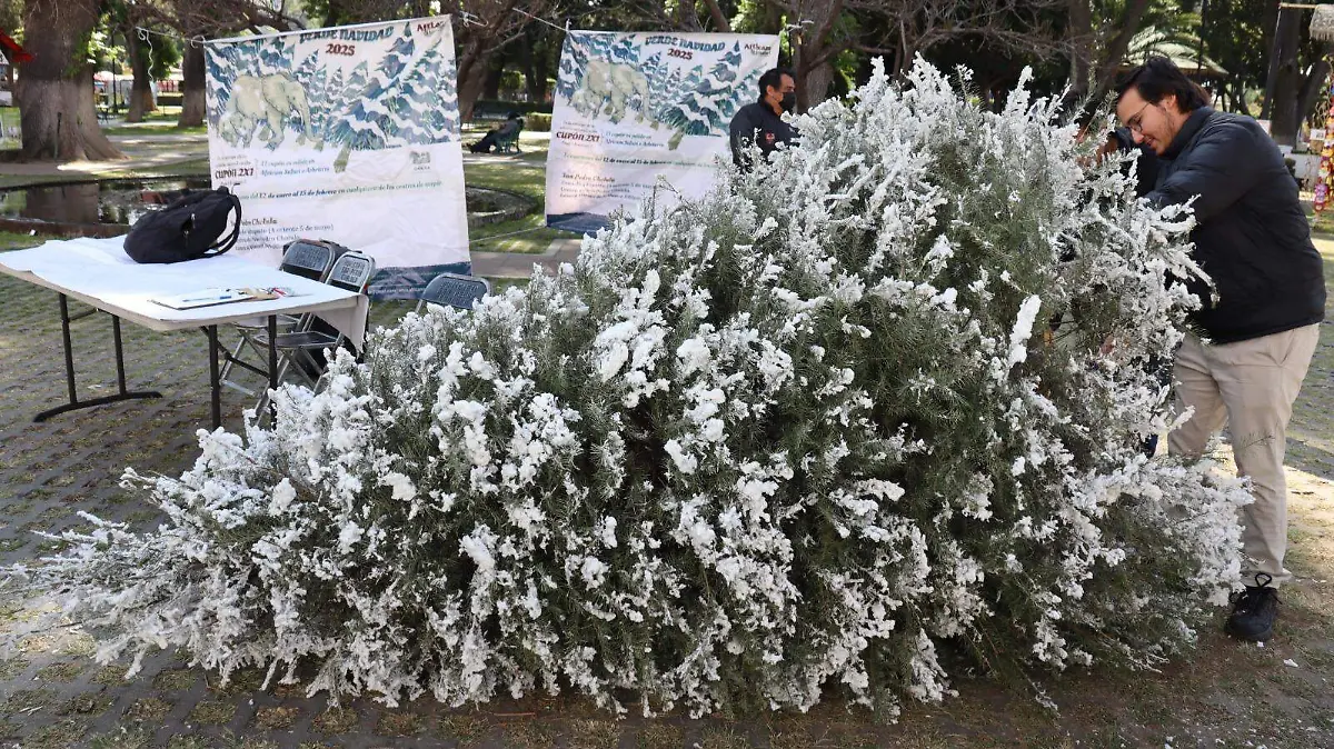 WhatsApp Image 2026-01-19 at 3.34.30 PM