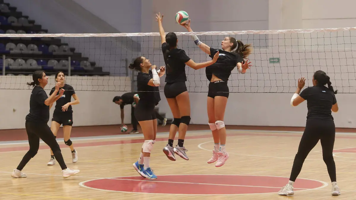 WhatsApp Image 2026-01-07 at 1.54.04 PM (1)