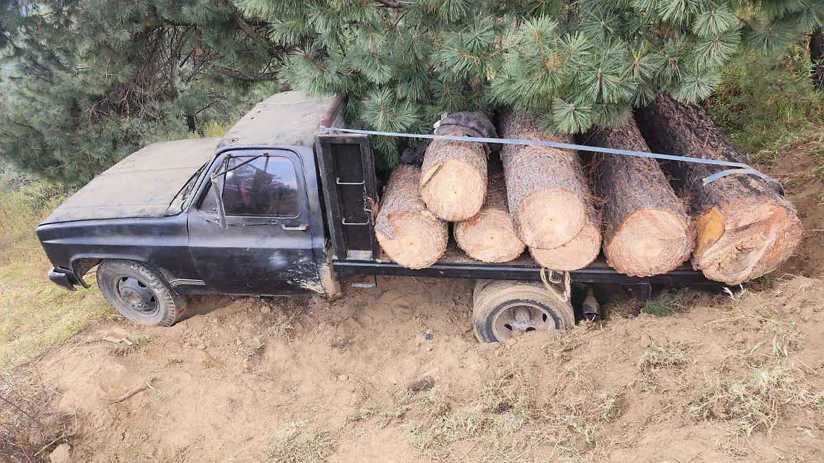 tala clandestina en Tlahuapan